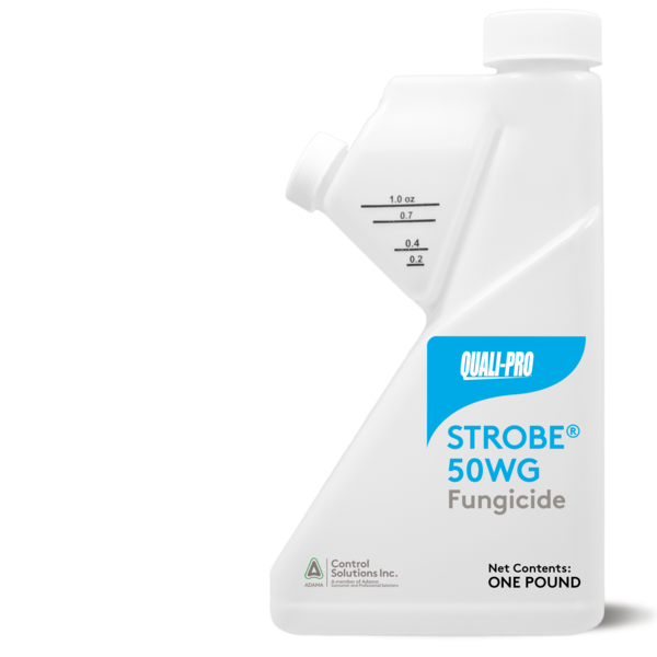 Bottle of Strobe 50WG fungicide.