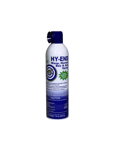 Can of wasp and hornet spray.